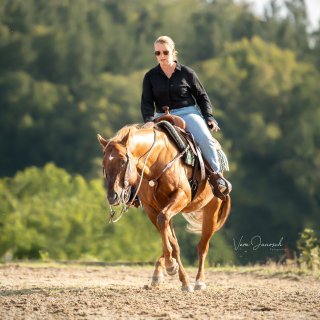 LAND & FORST Rahmenprogramm Pferde LAND & FORST Rahmenprogramm Pferde