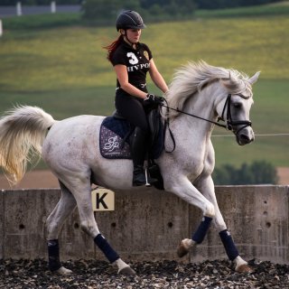 LAND & FORST Rahmenprogramm Pferde LAND & FORST Rahmenprogramm Pferde